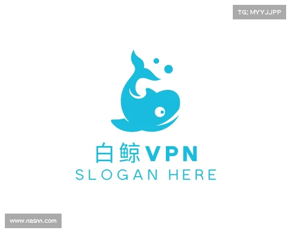 关于白鲸VPN